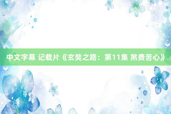 中文字幕 记载片《玄奘之路：第11集 煞费苦心》