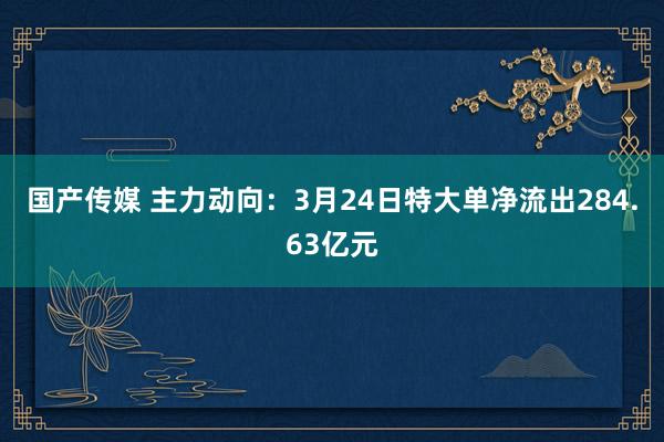 国产传媒 主力动向：3月24日特大单净流出284.63亿元