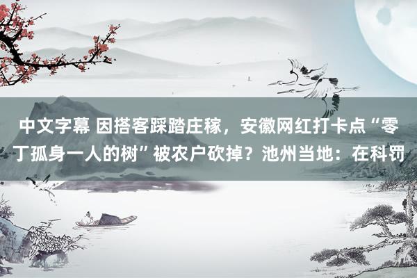 中文字幕 因搭客踩踏庄稼，安徽网红打卡点“零丁孤身一人的树”被农户砍掉？池州当地：在科罚