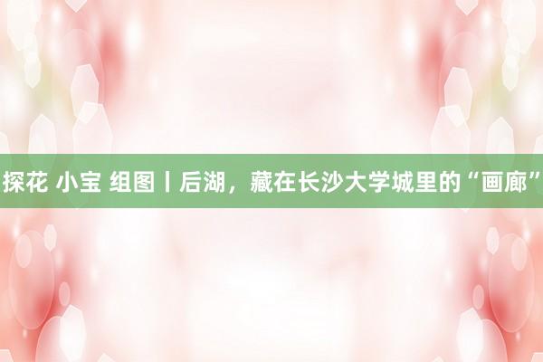 探花 小宝 组图丨后湖，藏在长沙大学城里的“画廊”