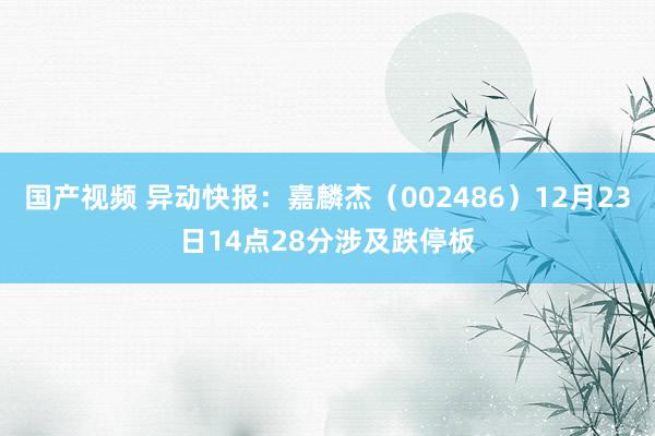 国产视频 异动快报：嘉麟杰（002486）12月23日14点28分涉及跌停板