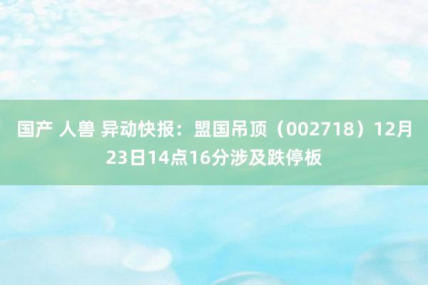 国产 人兽 异动快报：盟国吊顶（002718）12月23日14点16分涉及跌停板