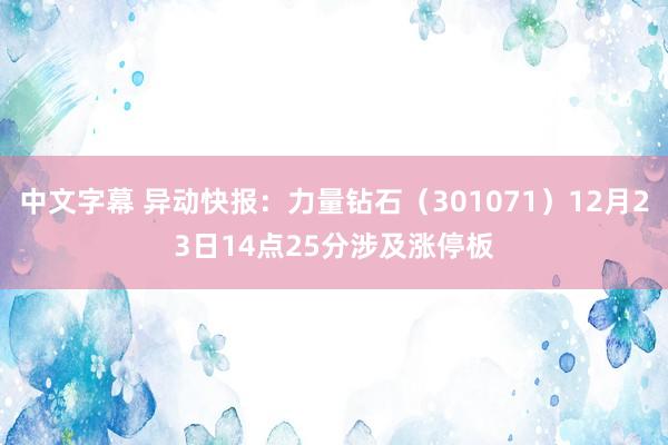 中文字幕 异动快报：力量钻石（301071）12月23日14点25分涉及涨停板