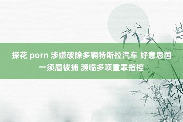 探花 porn 涉嫌破除多辆特斯拉汽车 好意思国一须眉被捕 濒临多项重罪指控
