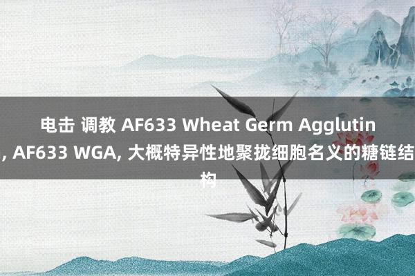 电击 调教 AF633 Wheat Germ Agglutinin， AF633 WGA， 大概特异性地聚拢细胞名义的糖链结构