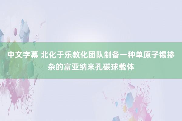 中文字幕 北化于乐教化团队制备一种单原子锡掺杂的富亚纳米孔碳球载体