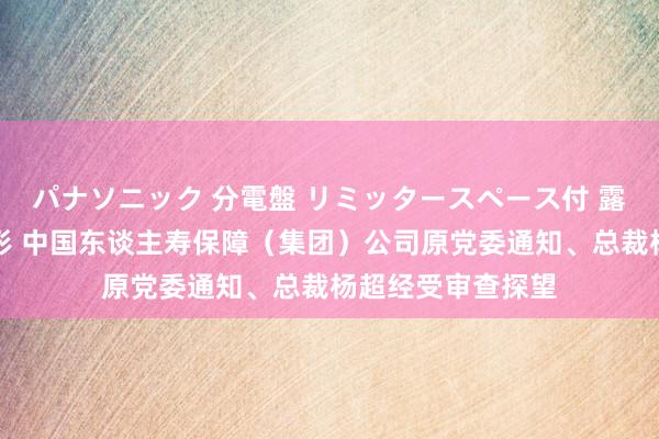パナソニック 分電盤 リミッタースペース付 露出・半埋込両用形 中国东谈主寿保障（集团）公司原党委通知、总裁杨超经受审查探望