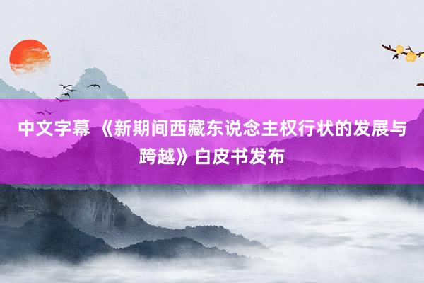 中文字幕 《新期间西藏东说念主权行状的发展与跨越》白皮书发布