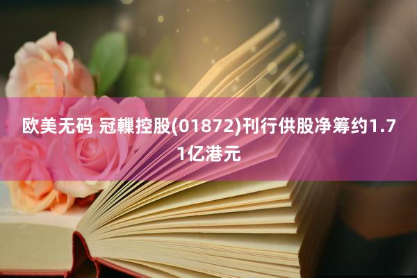 欧美无码 冠轈控股(01872)刊行供股净筹约1.71亿港元