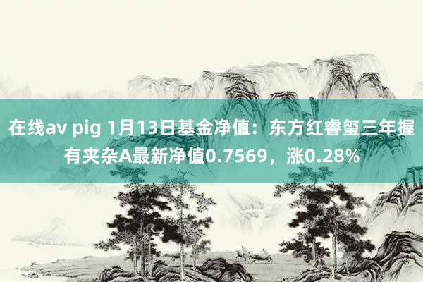 在线av pig 1月13日基金净值：东方红睿玺三年握有夹杂A最新净值0.7569，涨0.28%