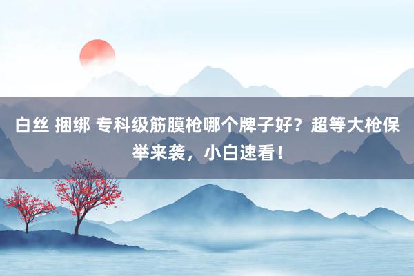 白丝 捆绑 专科级筋膜枪哪个牌子好？超等大枪保举来袭，小白速看！