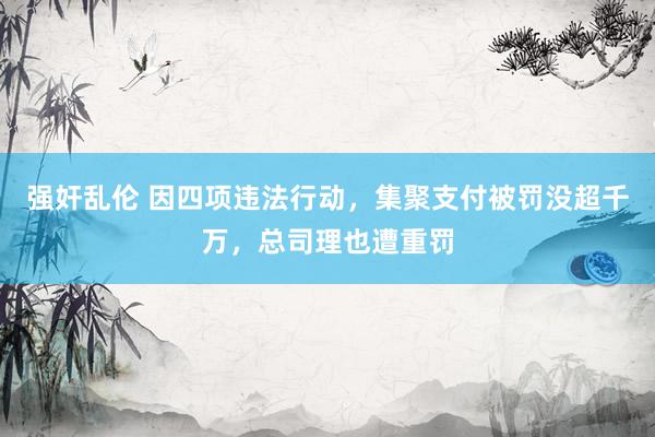 强奸乱伦 因四项违法行动，集聚支付被罚没超千万，总司理也遭重罚
