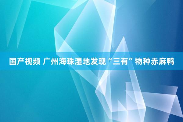 国产视频 广州海珠湿地发现“三有”物种赤麻鸭