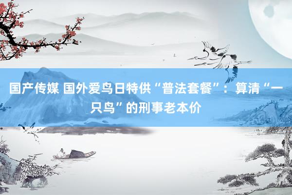 国产传媒 国外爱鸟日特供“普法套餐”：算清“一只鸟”的刑事老本价