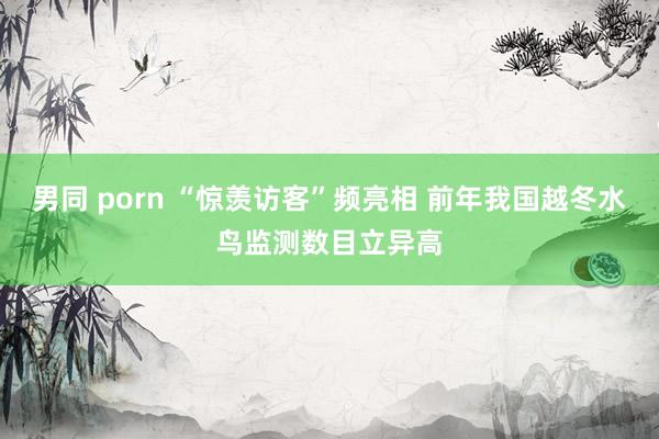 男同 porn “惊羡访客”频亮相 前年我国越冬水鸟监测数目立异高
