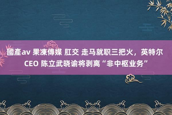 國產av 果凍傳媒 肛交 走马就职三把火，英特尔 CEO 陈立武晓谕将剥离“非中枢业务”