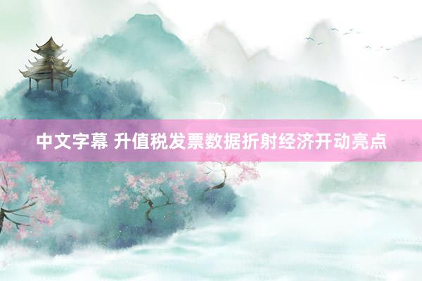 中文字幕 升值税发票数据折射经济开动亮点
