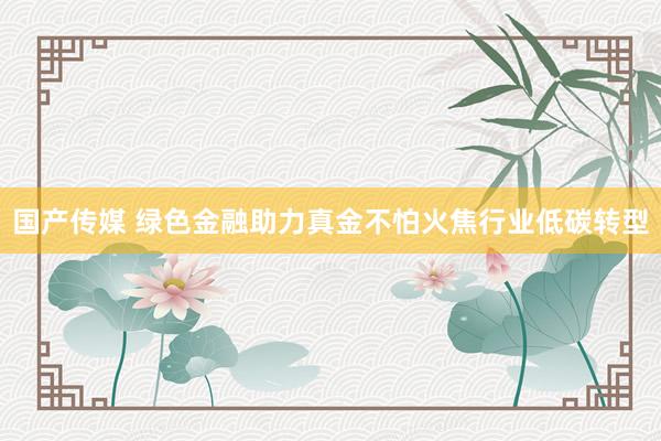 国产传媒 绿色金融助力真金不怕火焦行业低碳转型