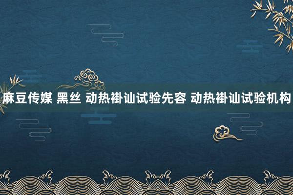 麻豆传媒 黑丝 动热褂讪试验先容 动热褂讪试验机构