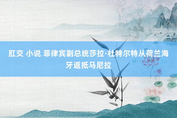 肛交 小说 菲律宾副总统莎拉·杜特尔特从荷兰海牙返抵马尼拉