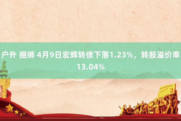 户外 捆绑 4月9日宏辉转债下落1.23%，转股溢价率13.04%