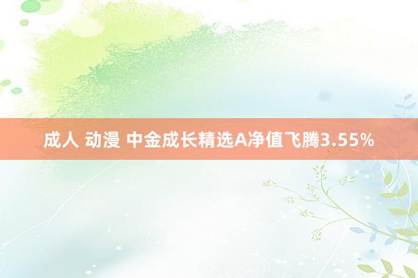 成人 动漫 中金成长精选A净值飞腾3.55%