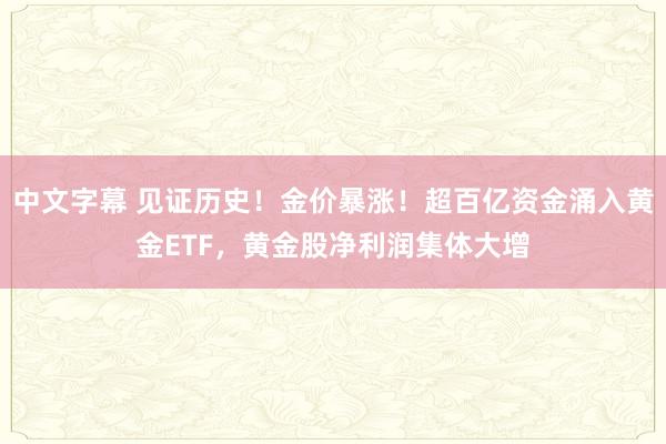 中文字幕 见证历史！金价暴涨！超百亿资金涌入黄金ETF，黄金股净利润集体大增