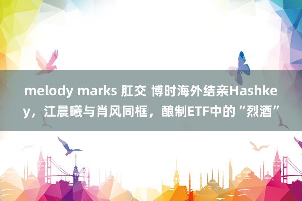 melody marks 肛交 博时海外结亲Hashkey，江晨曦与肖风同框，酿制ETF中的“烈酒”