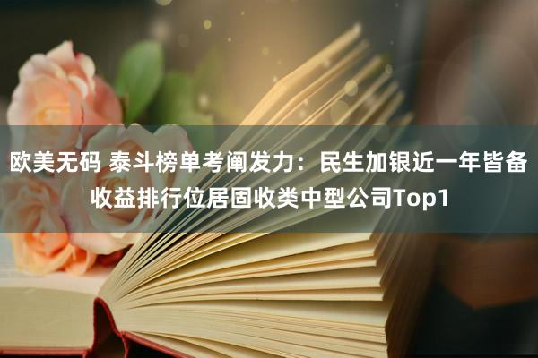 欧美无码 泰斗榜单考阐发力：民生加银近一年皆备收益排行位居固收类中型公司Top1