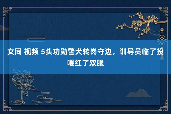 女同 视频 5头功勋警犬转岗守边，训导员临了投喂红了双眼