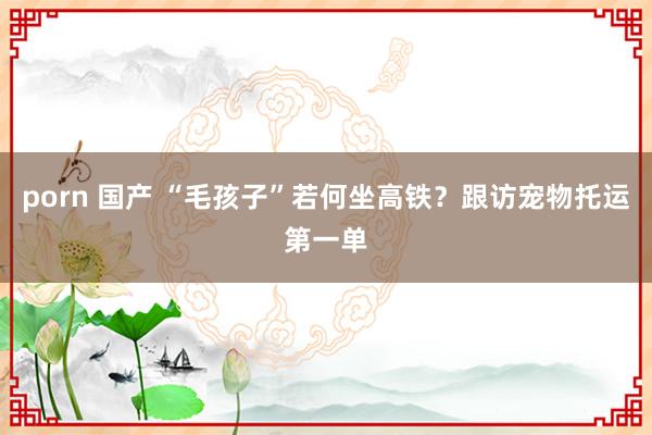 porn 国产 “毛孩子”若何坐高铁？跟访宠物托运第一单