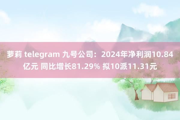 萝莉 telegram 九号公司：2024年净利润10.84亿元 同比增长81.29% 拟10派11.31元