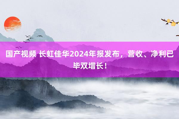 国产视频 长虹佳华2024年报发布，营收、净利已毕双增长！