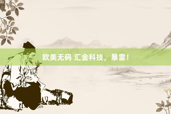 欧美无码 汇金科技，暴雷！
