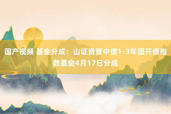 国产视频 基金分成：山证资管中债1-3年国开债指数基金4月17日分成