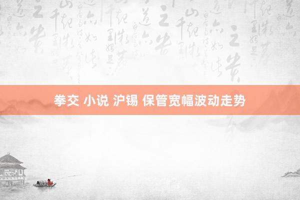 拳交 小说 沪锡 保管宽幅波动走势