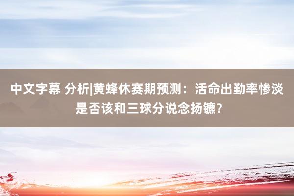 中文字幕 分析|黄蜂休赛期预测：活命出勤率惨淡 是否该和三球分说念扬镳？