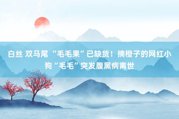 白丝 双马尾 “毛毛果”已缺货！摘橙子的网红小狗“毛毛”突发腹黑病离世