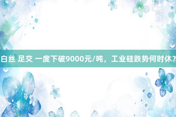 白丝 足交 一度下破9000元/吨，工业硅跌势何时休？
