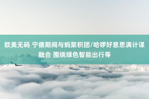 欧美无码 宁德期间与蚂聚积团/哈啰好意思满计谋融合 围绕绿色智能出行等