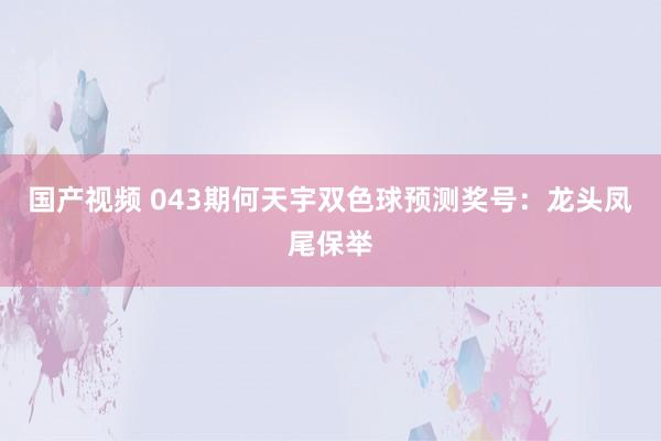 国产视频 043期何天宇双色球预测奖号：龙头凤尾保举