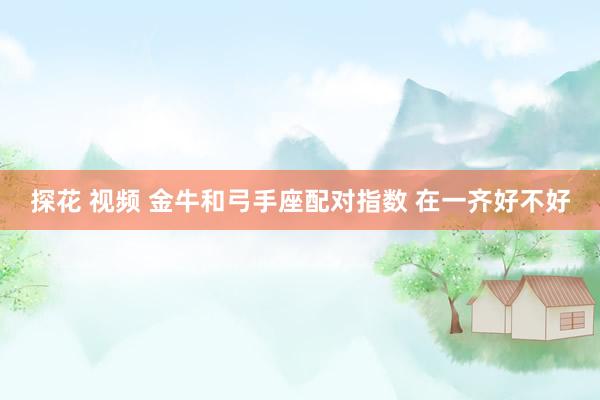 探花 视频 金牛和弓手座配对指数 在一齐好不好