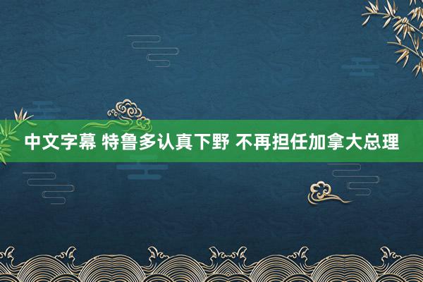 中文字幕 特鲁多认真下野 不再担任加拿大总理