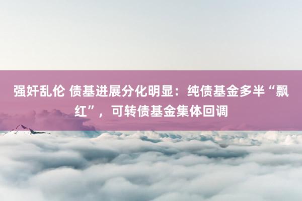 强奸乱伦 债基进展分化明显：纯债基金多半“飘红”，可转债基金集体回调