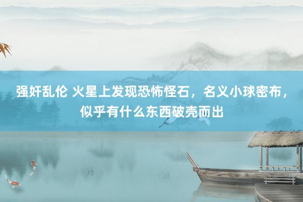 强奸乱伦 火星上发现恐怖怪石，名义小球密布，似乎有什么东西破壳而出