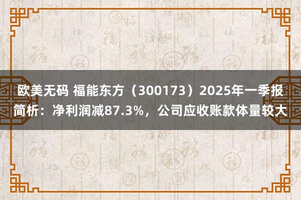 欧美无码 福能东方（300173）2025年一季报简析：净利润减87.3%，公司应收账款体量较大